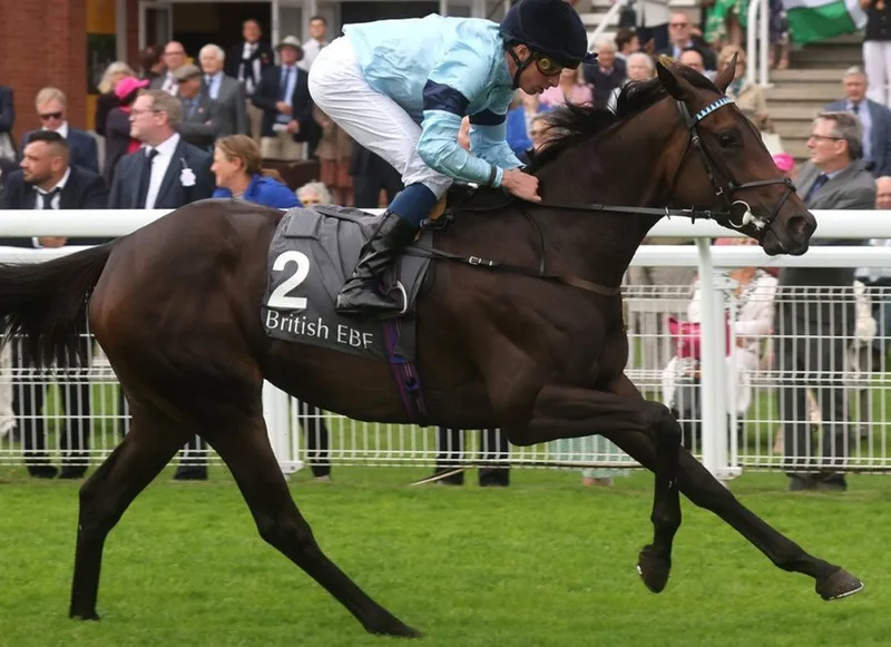 午夜狂奔 - 马匹血统 - 欧宝电竞