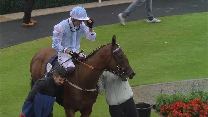 凯旋之光 - 马匹血统 - 欧宝电竞