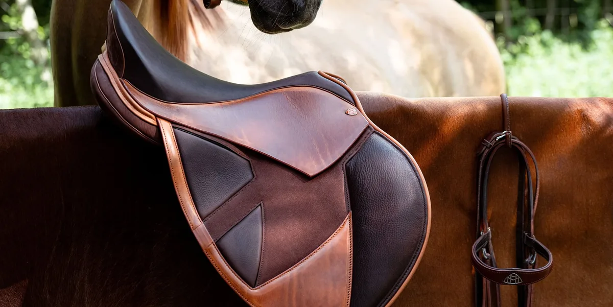 母系血统的隐藏价值 - 欧宝电竞