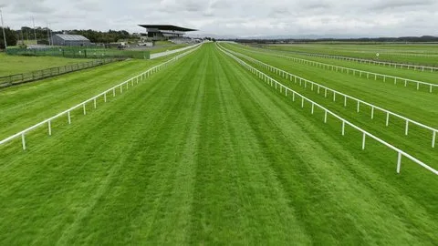 血统与赛道适性的关联分析 - 欧宝电竞